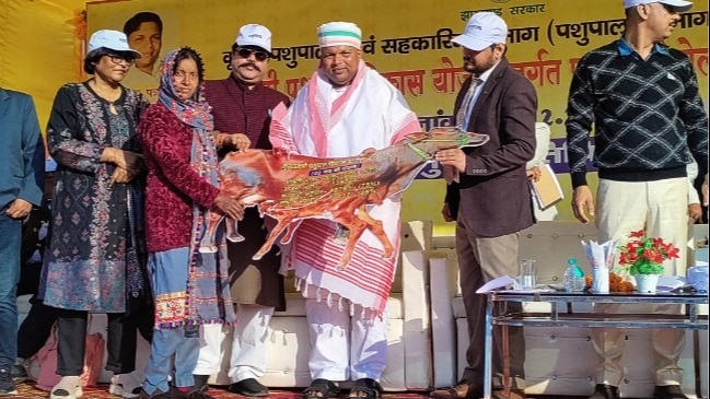 पशुपालन के जरिए झारखंड मे बदलेगी किसानों की तकदीर, पशुपालन को बढ़ावा देने की हो रही पहल
