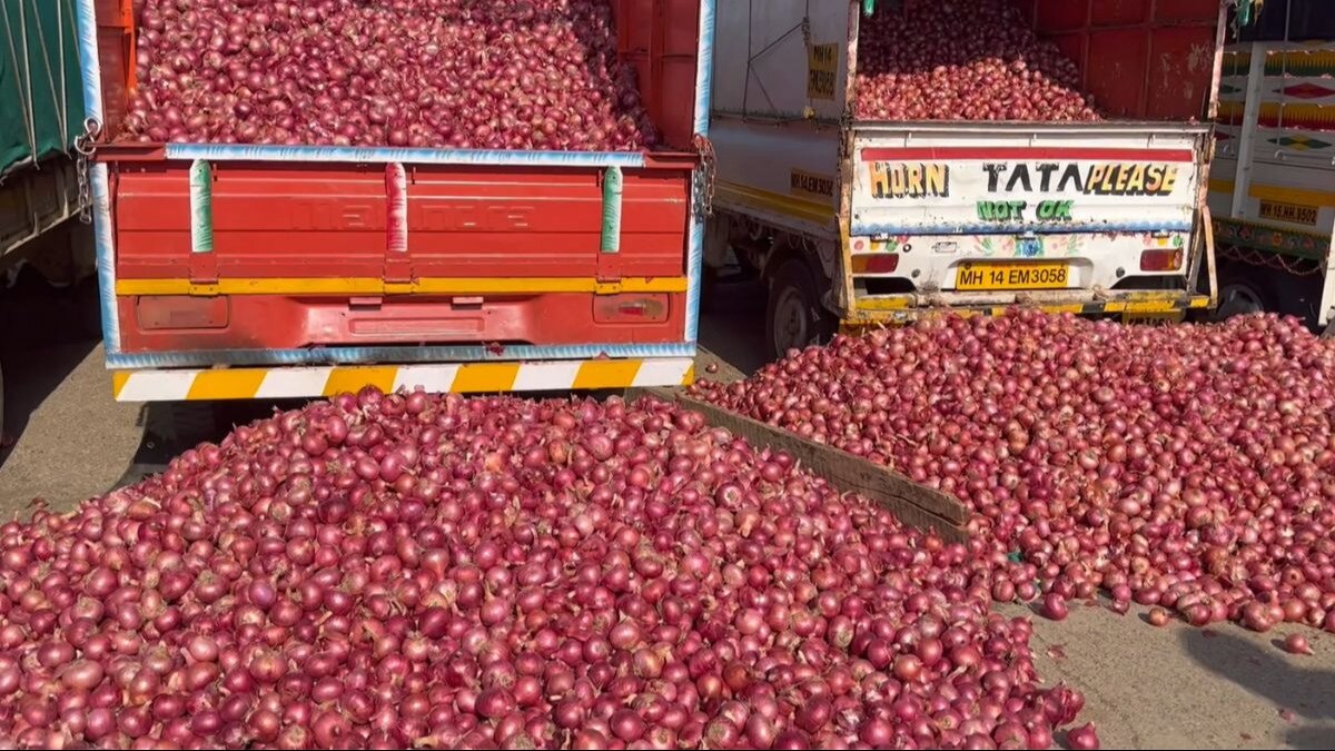  Onion Price: एक्सपोर्ट बैन के बाद महाराष्ट्र में कितना है प्याज का दाम,जान‍िए राज्य का मंडी भाव