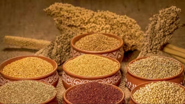 मिलेट्स बिजनेस पर मिलेगी 20 लाख तक सब्सिडी