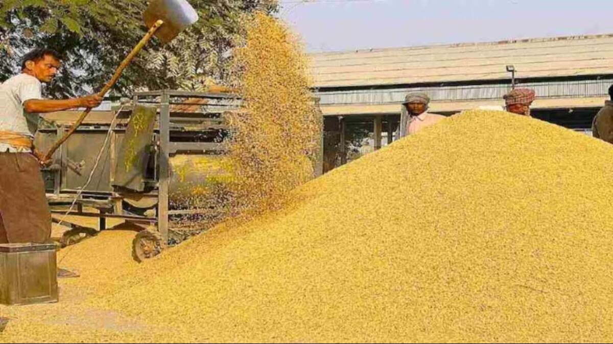 असम में 6 लाख टन हुई धान की खरीदी, 62000 किसानों के खातों में पहुंचे 12000 करोड़ रुपये