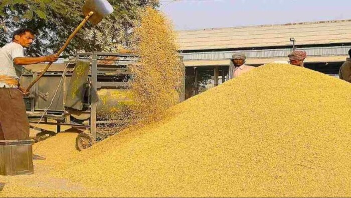 असम में धान की खरीद जारी. (सांकेतिक फोटो)