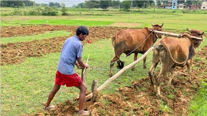 झारखंड राज्य फसल राहत योजना के तहत मिले 14 लाख आवेदन, 6.50 लाख का हुआ है वेरिफिकेशन