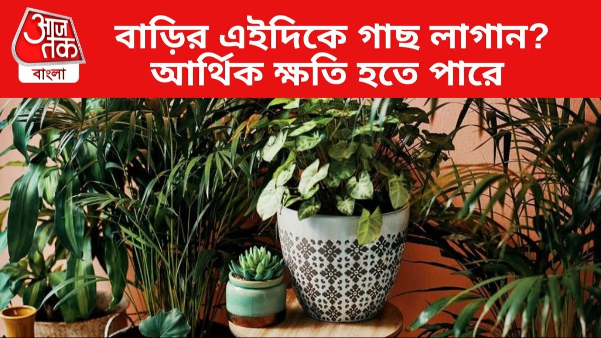 Vastu Tips For Home ঘরের এইদিকে ভুলেও লাগাবেন না কোনও গাছ, আর্থিক