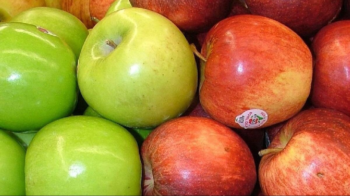 Green Apple vs Red Apple লাল না সবুজ, কোন আপেল বেশি উপকারী? রইল