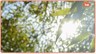 यूपी में फरवरी में ही मई-जून जैसी गर्मी! जानिए मौसम विभाग का लेटेस्ट अपडेट UP Tak