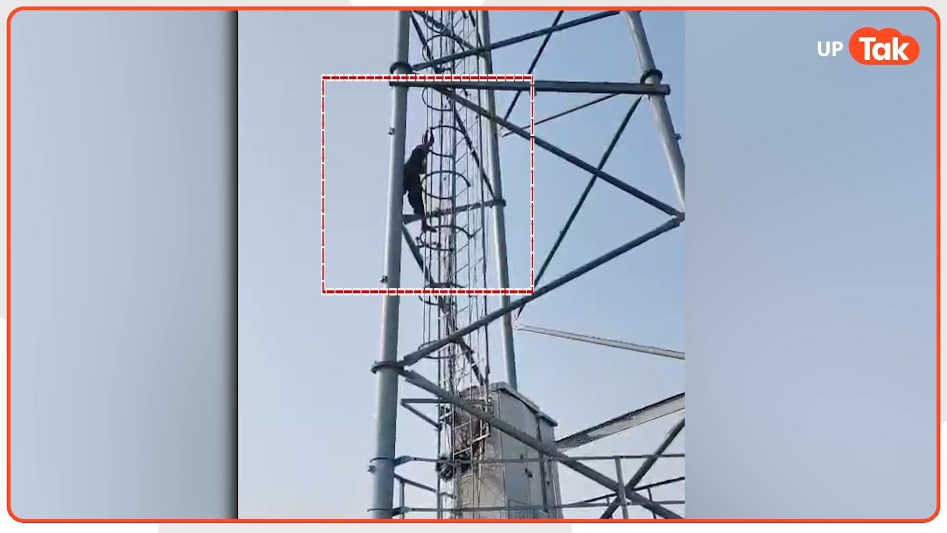 शादीशुदा प्रेमी के लिए मोबाइल टावर पर चढ़ी प्रेमिका, घंटों मची रही अफरा-तफरी