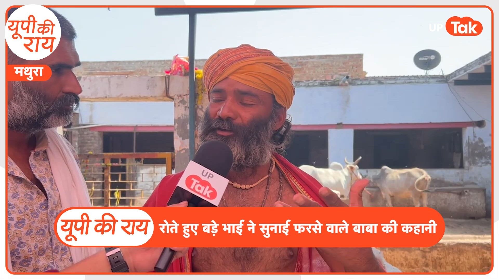 फरसा वाले बाबा के जाने से बेजुबान भी दुखी, 350 गायों ने छोड़ा खाना, देखिए गौशाला से भावुक ग्राउंड रिपोर्ट