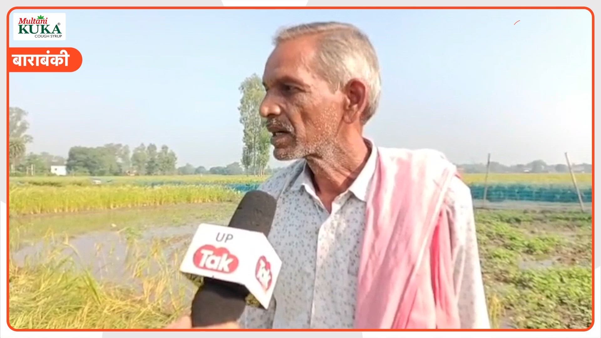 यूपी के मडौली गांव में कुदरत का कहर! पानी में डूबी सैकड़ों बीघा धान की फसल, किसानों के सामने रोजी-रोटी का संकट