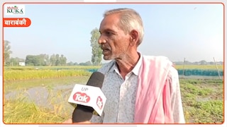 यूपी के मडौली गांव में कुदरत का कहर! पानी में डूबी सैकड़ों बीघा धान की फसल, किसानों के सामने रोजी-रोटी का संकट Barabanki farmers demand compensation for flood damages