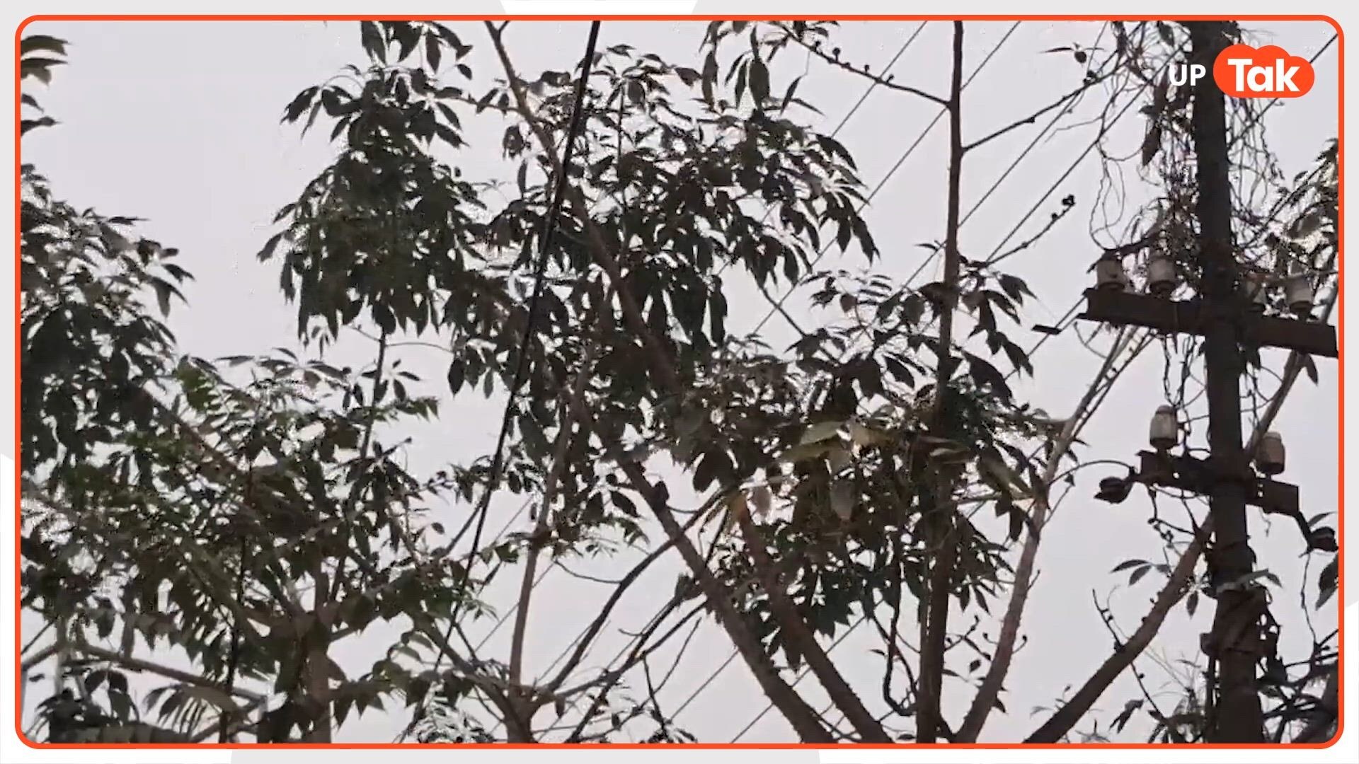 उत्तर प्रदेश में अगले तीन दिन मौसम पूरी तरह से साफ रहेगा, बारिश या आंधी नहीं 