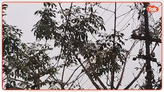 उत्तर प्रदेश में अगले तीन दिन मौसम पूरी तरह से साफ रहेगा, बारिश या आंधी नहीं Weather update for Uttar Pradesh in October 2026