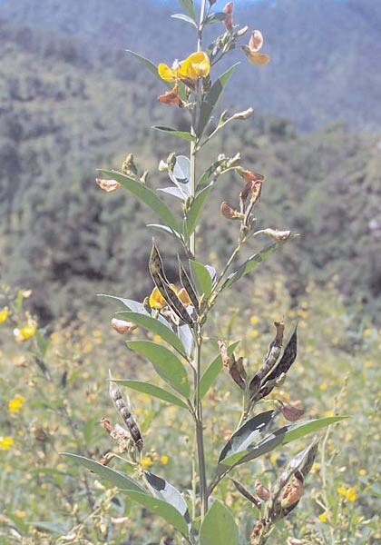 2 नवंबर 2011: देखें इंडिया टुडे का नया अंक | पढ़ें इंडिया 2 नवंबर 2011: देखें इंडिया टुडे का नया अंक | <a style='COLOR: #d71920' href='http://bit.ly/indiatoday-hindi-section' target='_blank'>पढ़ें इंडिया