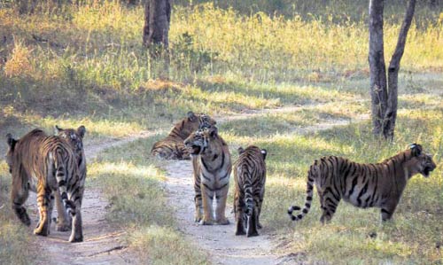 30 नवंबर 2011: तस्‍वीरों में देखें इंडिया टुडे | <a style='COLOR: #d71920' href='http://bit.ly/indiatoday-hindi-section' target='_blank'>इंडिया