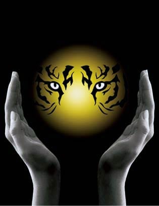 07 दिसंबर 2011: तस्वीरों में देखें इंडिया 07 दिसंबर 2011: तस्वीरों में देखें इंडिया