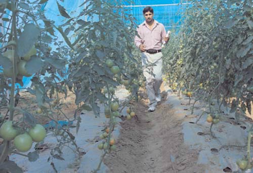 21 दिसम्‍बर 2011: तस्‍वीरों में देखें इंडिया