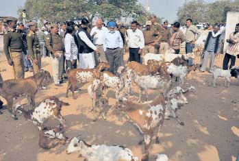 21 दिसम्‍बर 2011: तस्‍वीरों में देखें इंडिया