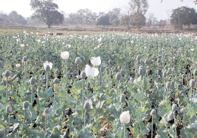 21 मार्च 2012: तस्वीरों में इंडिया टुडे | पढ़ें इंडिया 21 मार्च 2012: तस्वीरों में इंडिया टुडे | <a style='COLOR: #d71920' href='http://bit.ly/indiatoday-hindi-section' target='_blank'>पढ़ें इंडिया