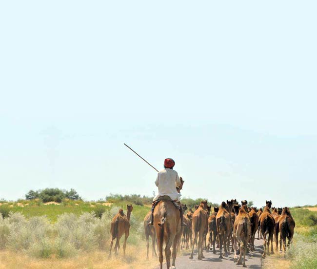 04 अप्रैल 2012: तस्‍वीरों में इंडिया टुडे | <a style='COLOR: #d71920' href='http://bit.ly/indiatoday-hindi-section' target='_blank'>पढ़ें इंडिया