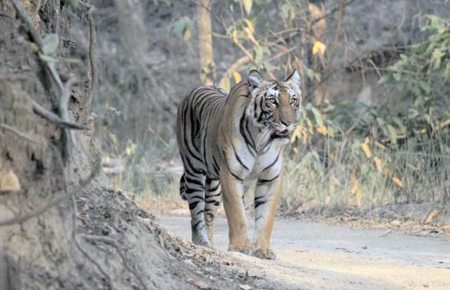 4 जुलाई 2012: तस्‍वीरों में इंडिया टुडे | <a style='COLOR: #d71920' href='http://bit.ly/indiatoday-hindi-section' target='_blank'>पढ़ें इंडिया