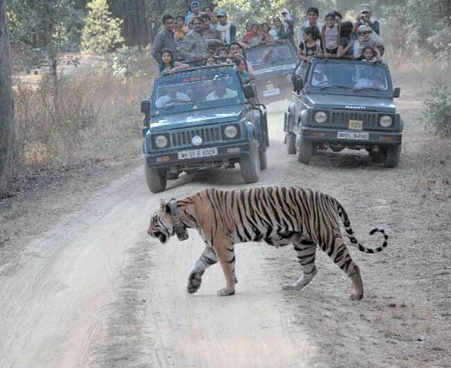 15 अगस्त 2012: तस्वीरों में इंडिया टुडे | पढ़ें इंडिया 15 अगस्त 2012: तस्वीरों में इंडिया टुडे | <a style='COLOR: #d71920' href='http://bit.ly/indiatoday-hindi-section' target='_blank'>पढ़ें इंडिया