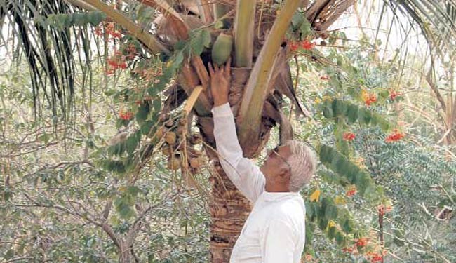 29 अगस्त 2012: तस्वीरों में इंडिया टुडे | पढ़ें इंडिया 29 अगस्त 2012: तस्वीरों में इंडिया टुडे | <a style='COLOR: #d71920' href='http://bit.ly/indiatoday-hindi-section' target='_blank'>पढ़ें इंडिया