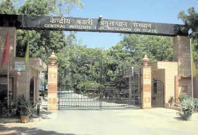 17 अक्टूबर 2012: तस्वीरों में इंडिया टुडे | पढ़ें 17 अक्टूबर 2012: तस्वीरों में इंडिया टुडे | <a style='COLOR: #d71920' href='http://bit.ly/indiatoday-hindi-section' target='_blank'>पढ़ें