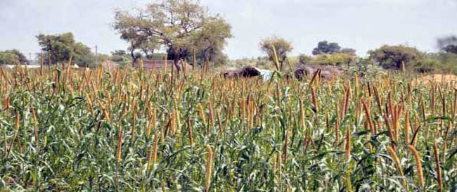 17 अक्टूबर 2012: तस्वीरों में इंडिया टुडे | पढ़ें 17 अक्टूबर 2012: तस्वीरों में इंडिया टुडे | <a style='COLOR: #d71920' href='http://bit.ly/indiatoday-hindi-section' target='_blank'>पढ़ें