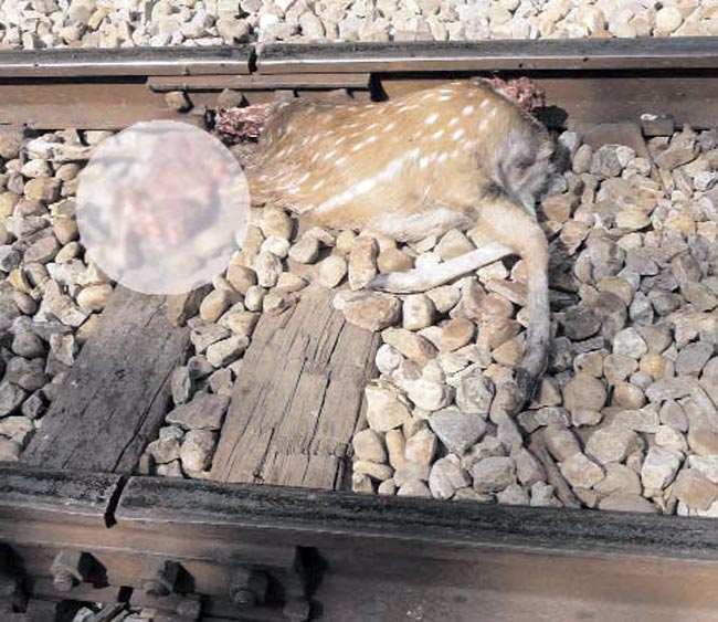 14 नवंबर 2012: तस्‍वीरों में इंडिया टुडे | <a style='COLOR: #d71920' href='http://bit.ly/indiatoday-hindi-section' target='_blank'>पढ़ें इंडिया