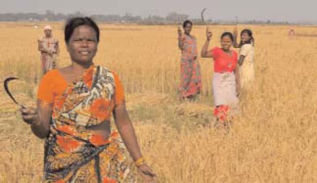 12 दिसंबर 2012: तस्वीरों में इंडिया टुडे | पढ़ें इंडिया 12 दिसंबर 2012: तस्वीरों में इंडिया टुडे | <a style='COLOR: #d71920' href='http://bit.ly/indiatoday-hindi-section' target='_blank'>पढ़ें इंडिया