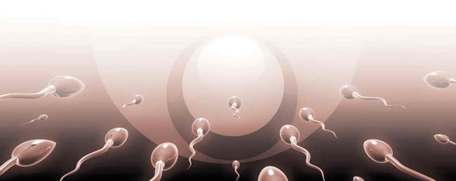 6 फरवरी 2013: तस्वीरों में इंडिया टुडे | पढ़ें इंडिया 6 फरवरी 2013: तस्वीरों में इंडिया टुडे | <a style='COLOR: #d71920' href='http://bit.ly/indiatoday-hindi-section' target='_blank'>पढ़ें इंडिया