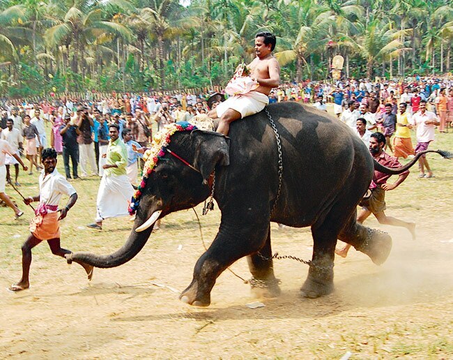 10 अप्रैल 2013: तस्‍वीरों में इंडिया टुडे | <a style='COLOR: #d71920' href='http://bit.ly/indiatoday-hindi-section' target='_blank'>पढ़ें इंडिया