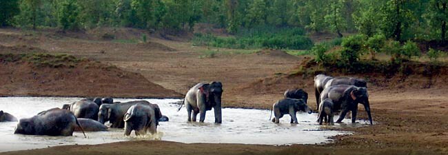 15 मई 2013: तस्वीरों में इंडिया टुडे | पढ़ें इंडिया 15 मई 2013: तस्वीरों में इंडिया टुडे | <a style='COLOR: #d71920' href='http://bit.ly/indiatoday-hindi-section' target='_blank'>पढ़ें इंडिया