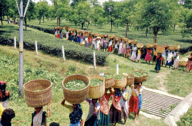 15 मई 2013: तस्‍वीरों में इंडिया टुडे | <a style='COLOR: #d71920' href='http://bit.ly/indiatoday-hindi-section' target='_blank'>पढ़ें इंडिया