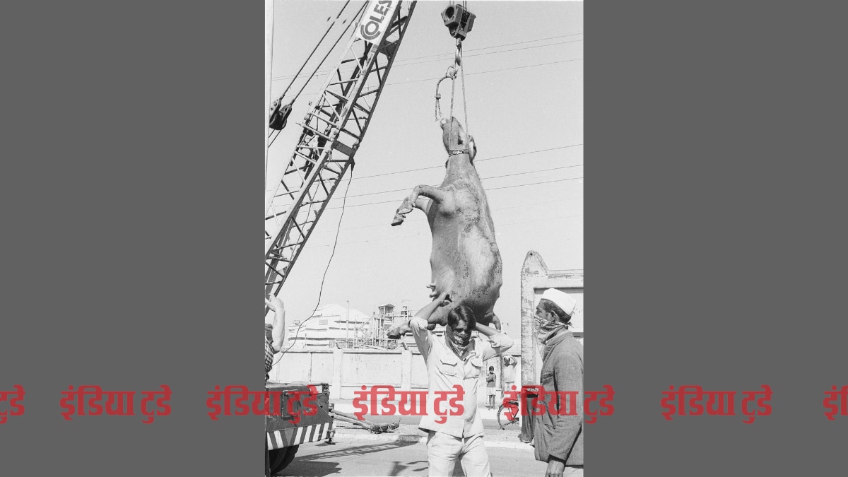 भोपाल गैस कांड : तस्वीरों के जरिए त्रासदी की कहानी