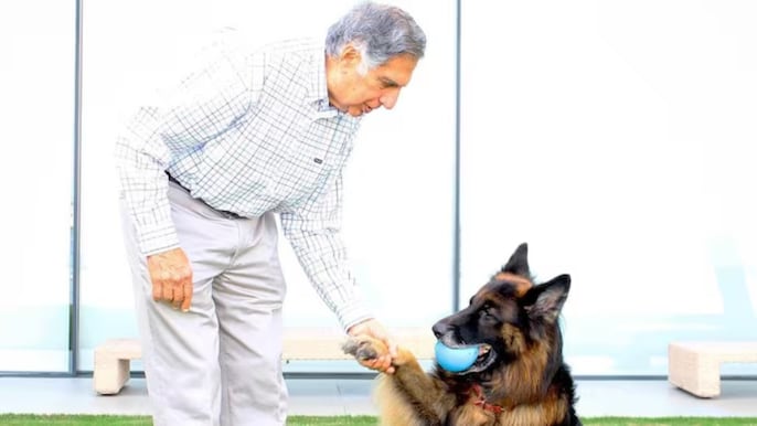 रतन टाटा जीवन भर कुत्तों से प्यार करते रहे रतन टाटा जीवन भर कुत्तों से प्यार करते रहे