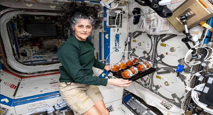 अंतरिक्ष यात्री सुनीता विलियम्स खाने में इस्तेमाल होने वाले प्रोटीन, विटामीन से युक्त खमीर को दिखाते नजर आ रही हैं अंतरिक्ष यात्री सुनीता विलियम्स खाने में इस्तेमाल होने वाले प्रोटीन, विटामीन से युक्त खमीर को दिखाते नजर आ रही हैं