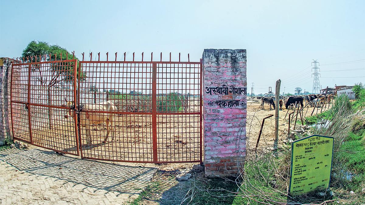 खुलने थे कारखाने, खुल गई गोशाला Khulne thhey Karkhane, Khul Gai Goshala