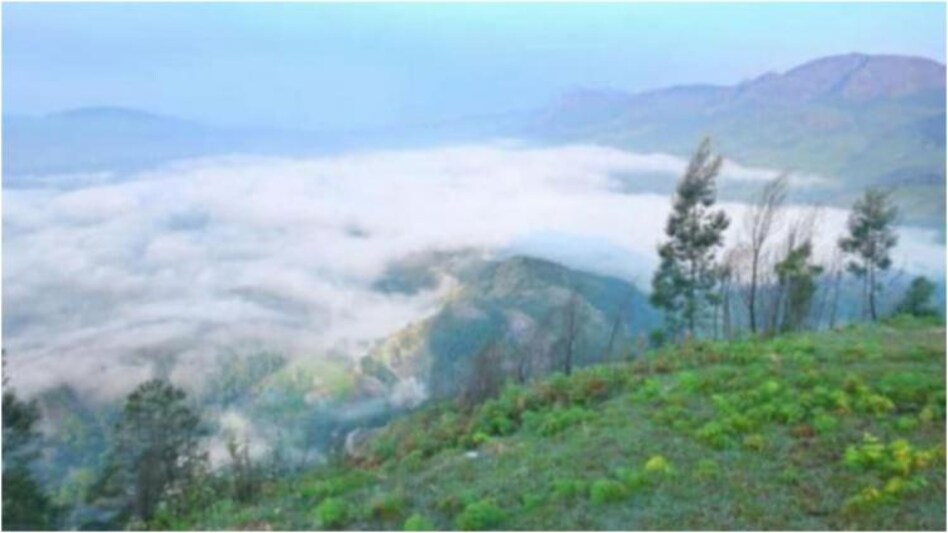 Kerala Buffer Zone