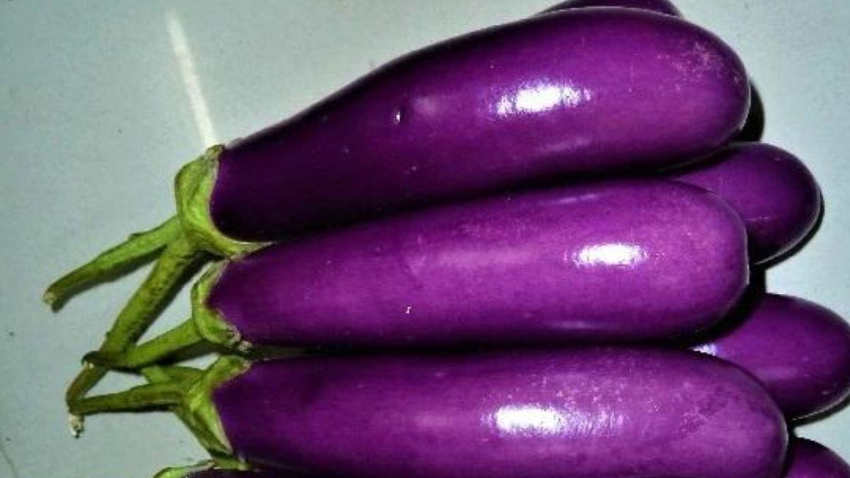 Brinjal health benefits പച്ചക്കറിയിലെ വഴുതനങ്ങ വെറുതെ കളയല്ലേ
