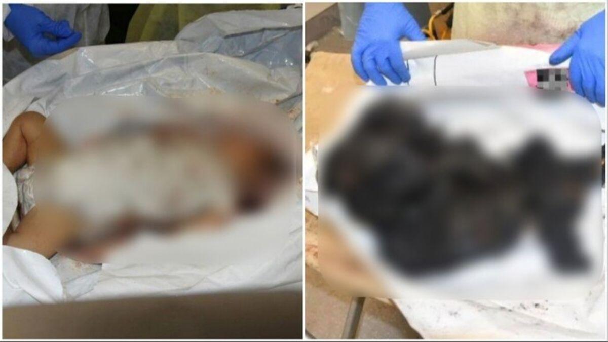 Israel said the babies were murdered by Hamas terrorists(Image: Twitter/ @IsraeliPM)