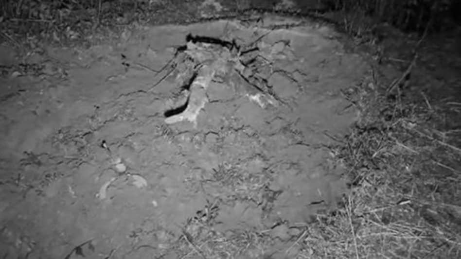 A Man suspected to be burnt alive by villagers in Assam's Nagaon A Man suspected to be burnt alive by villagers in Assam's Nagaon