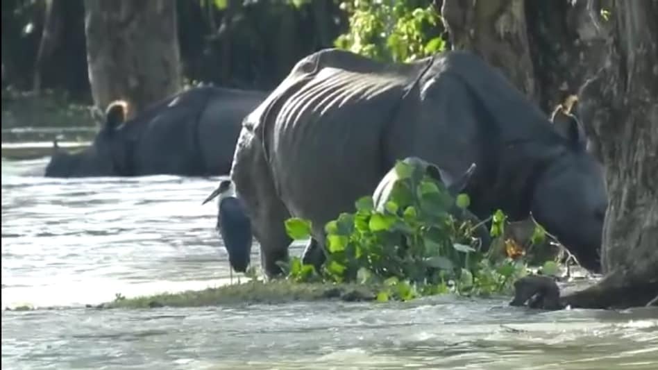 Kaziranga Floods