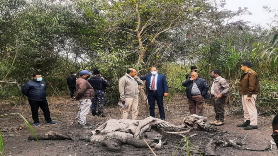 Assam: Commando Force to be deployed at Kaziranga National Park to intensify anti-poaching operations Assam: Commando Force to be deployed at Kaziranga National Park to intensify anti-poaching operations