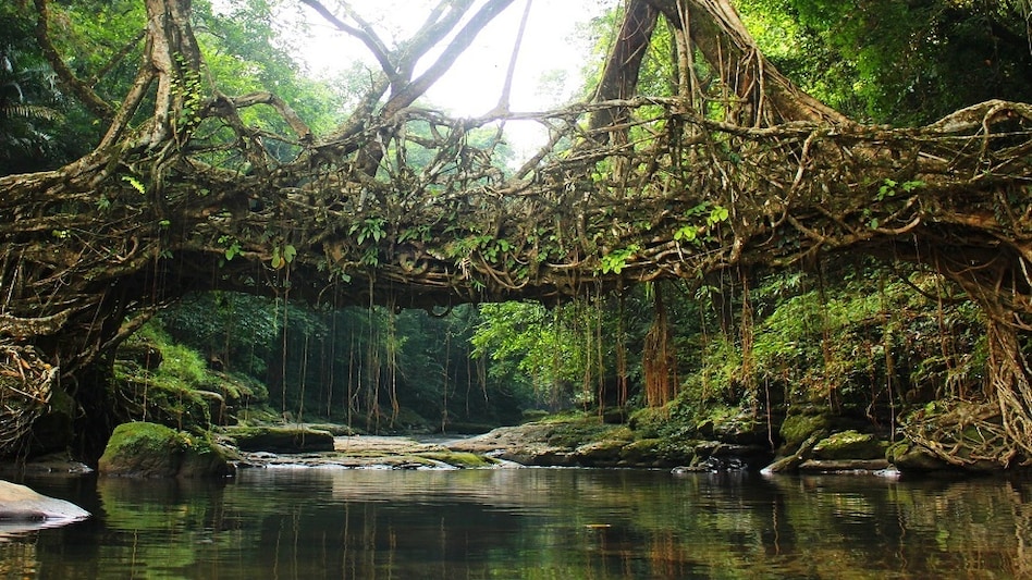 Meghalaya Meghalaya