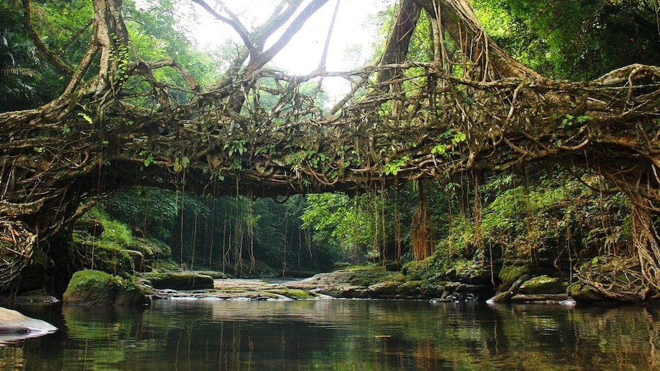 Meghalaya