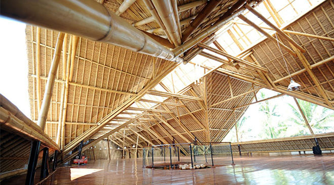 Mizoram extends Centre's ambition on bamboo development