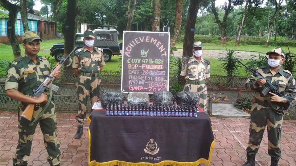 Assam: BSF foils ganja smuggling attempt, seizes huge consignment