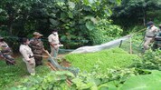 Tripura police face mass resistance during anti-cannabis operation Tripura police face mass resistance during anti-cannabis operation