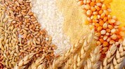 Union Cabinet amends Essential Commodities Act, cereals, pulses removed from list Union Cabinet amends Essential Commodities Act, cereals, pulses removed from list
