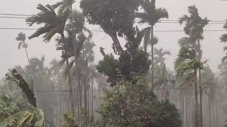 cyclonic cyclonic